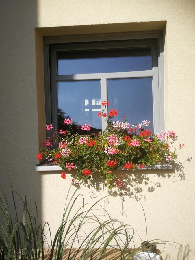 Appartementhaus Nienburg Esterno foto